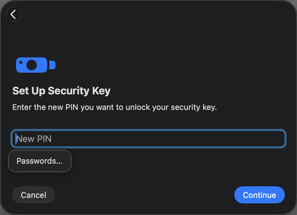 Security key PIN setup