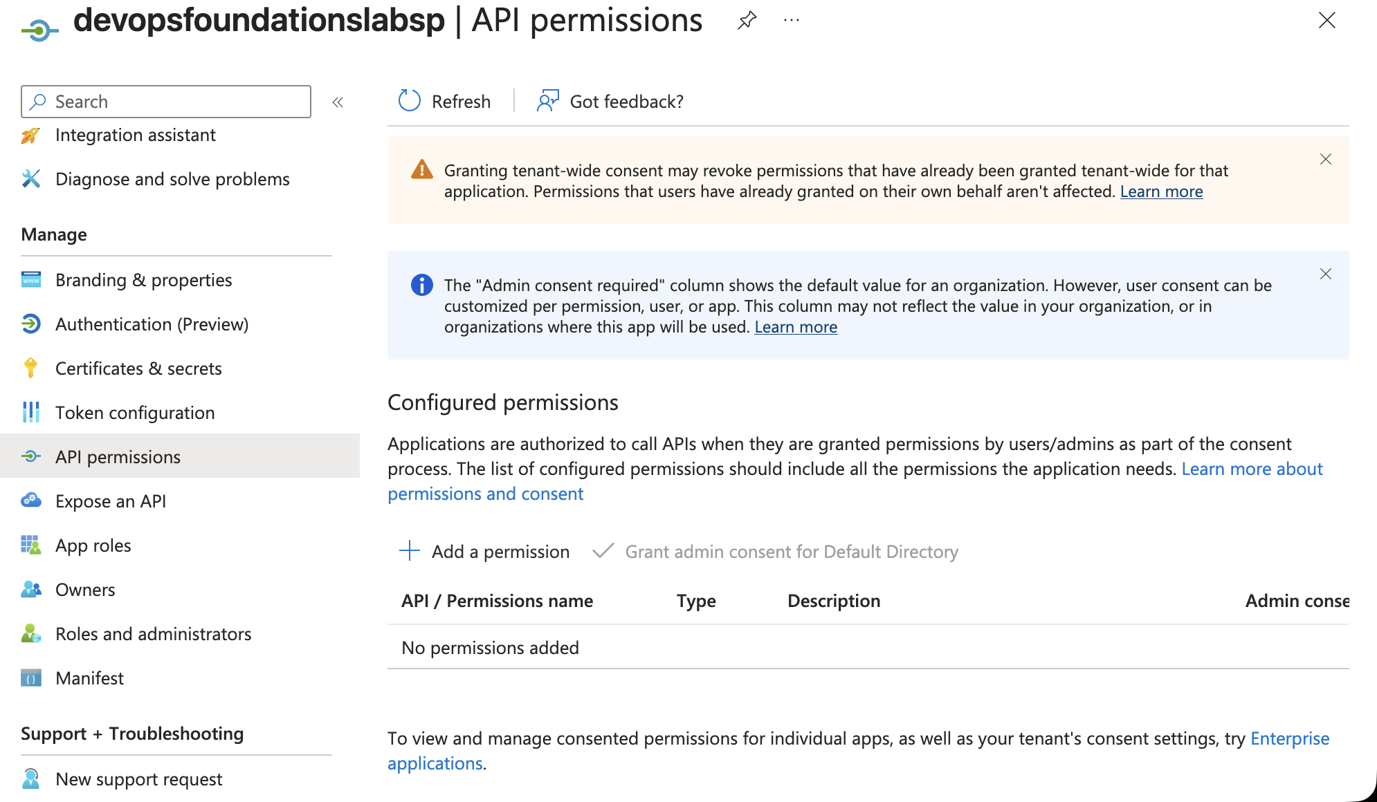 Empty API permissions page